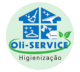 oliservicehigienizacao.com.br